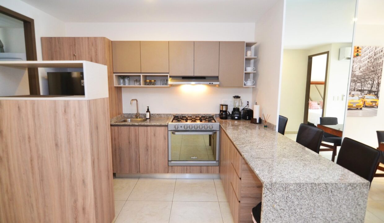 Condo Niza 2E - Versalles Condo For Rent Puerto Vallarta (1)