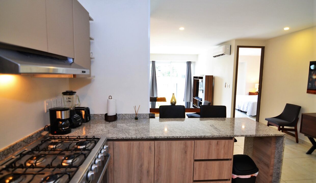 Condo Niza 2E - Versalles Condo For Rent Puerto Vallarta (3)